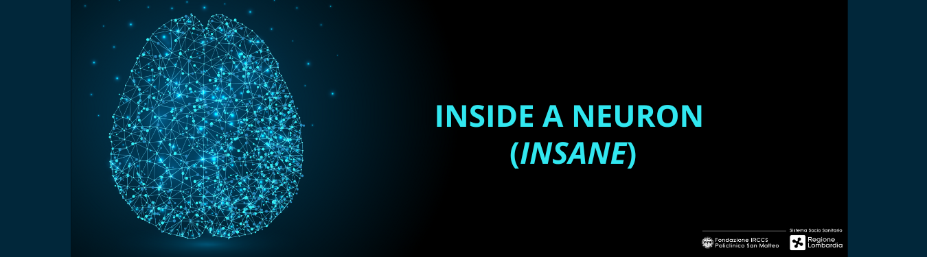 Inside a neuron - Il progetto Insane