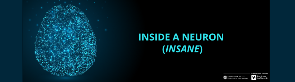 Slider inside a neuron