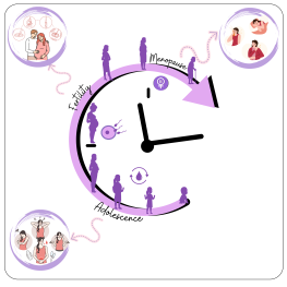 Graphical abstract ciclo della fertilità
