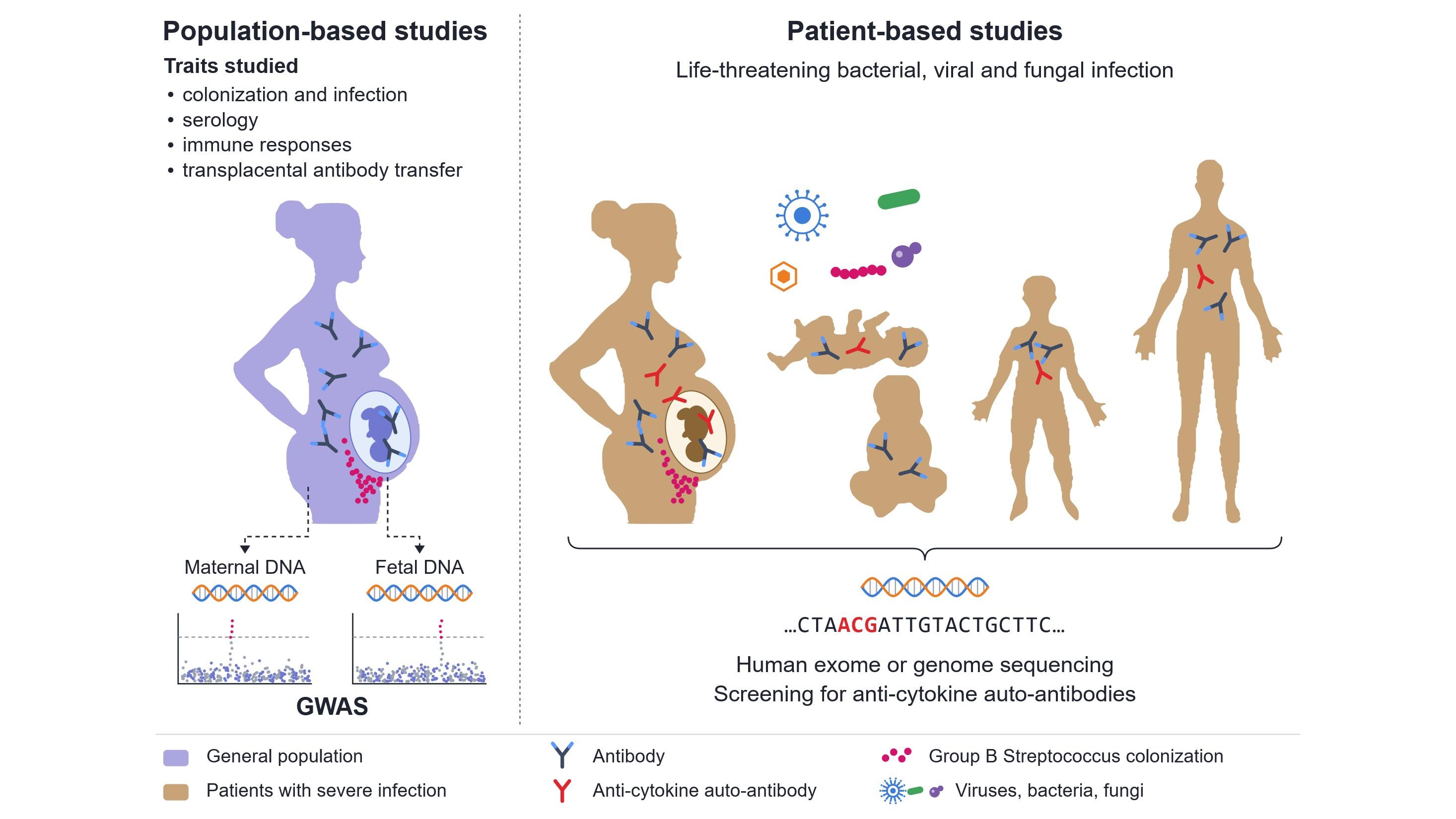 Host-pathogen interaction Graphical Abstract