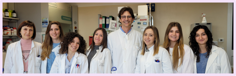 Molecular and Translational Cardiology - Research unit