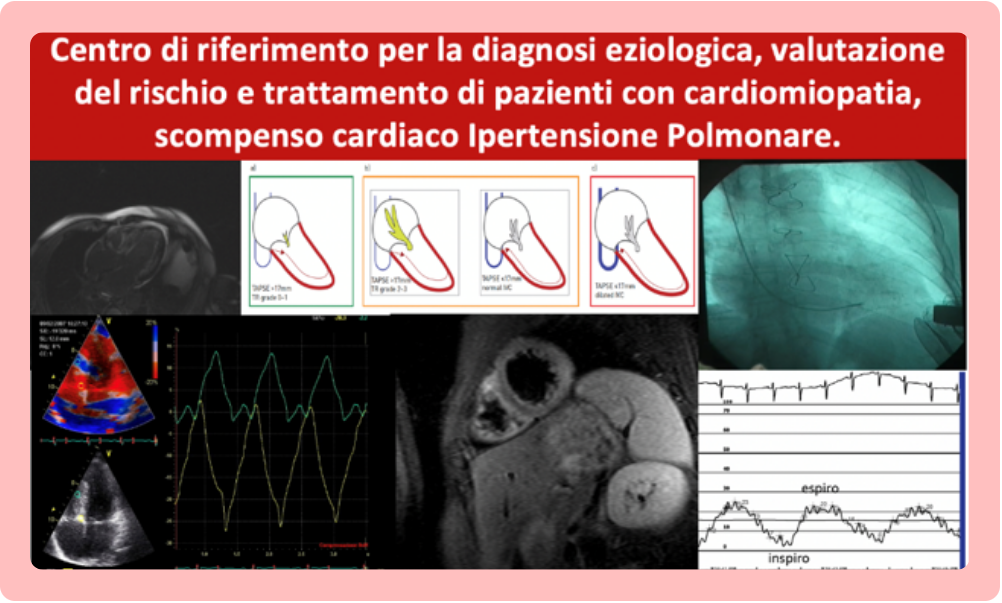 Research advances in vascular diseases and cardiomyopathies - Research unit