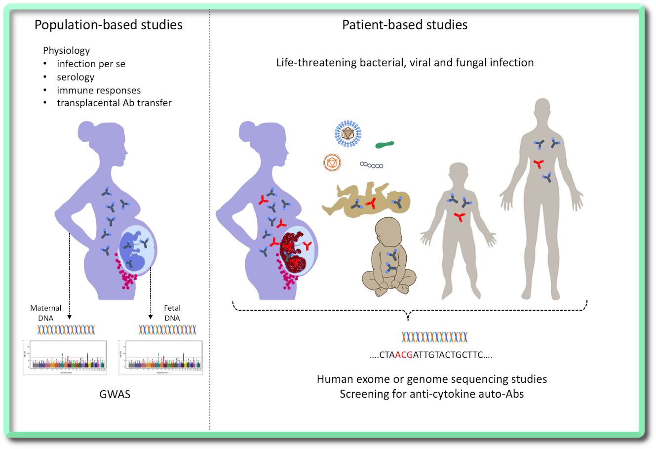 Host-pathogen interaction - IMMG1