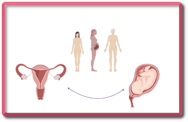 Complex pathologies in mother, child, and reproductive medicine - IMMG1